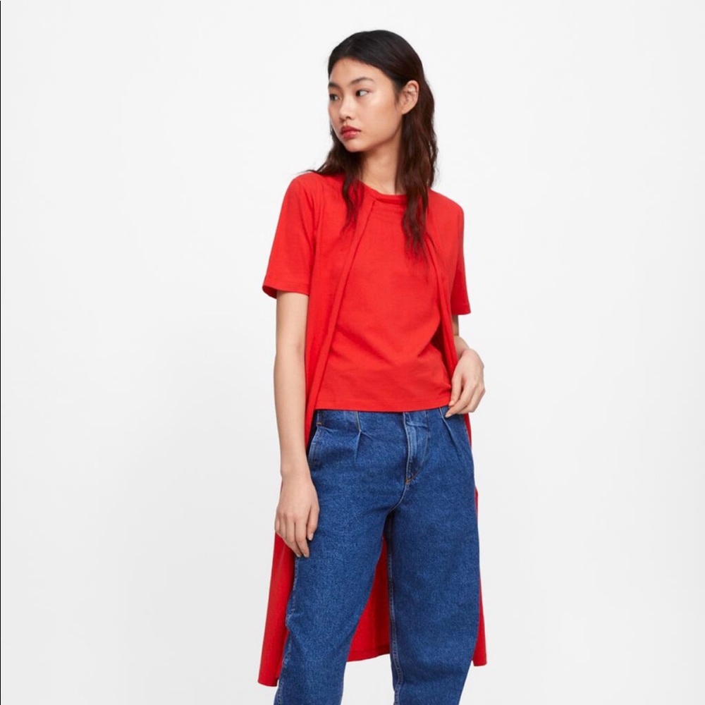 Zara Long Top with Slip